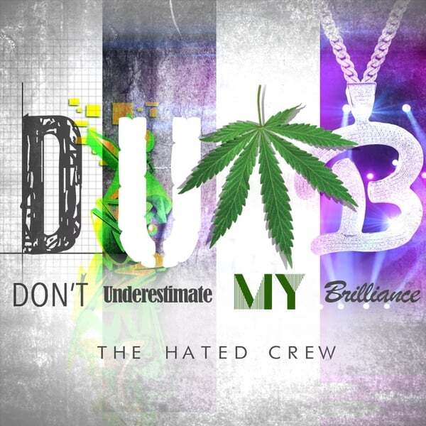 Cover art for Dumb Don't Underestimate My Brilliance